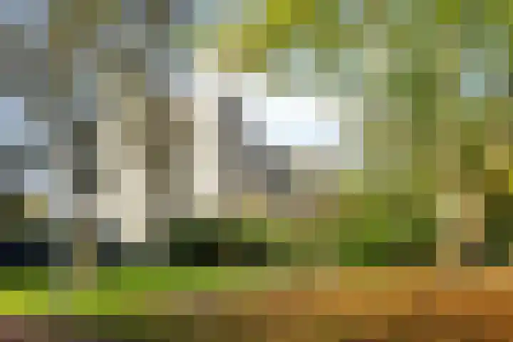 Groenhoven 433 Amsterdam thumbnail 34