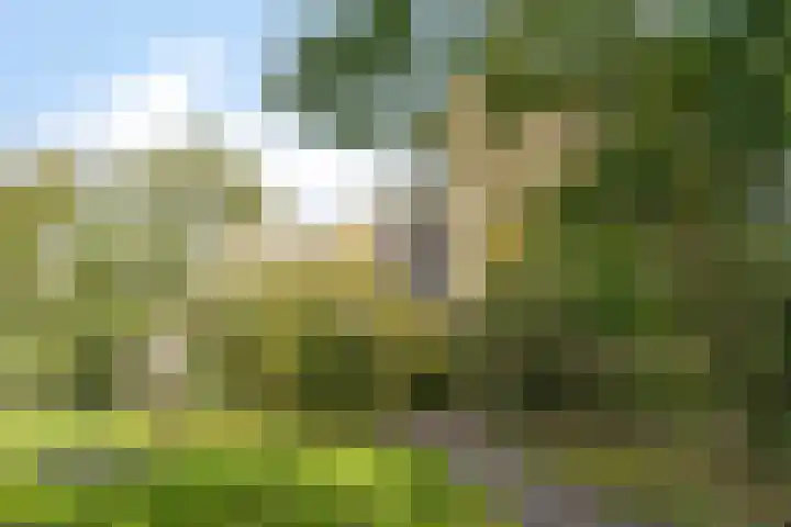 Groenhoven 433 Amsterdam thumbnail 35