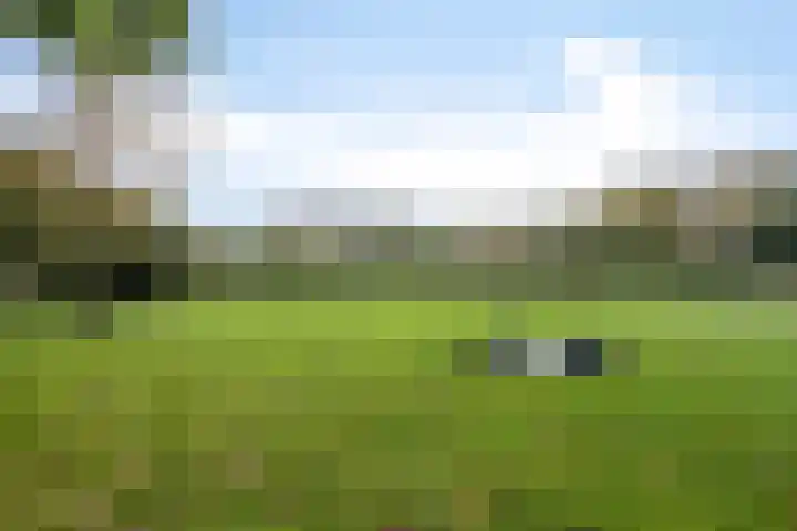 Groenhoven 433 Amsterdam thumbnail 36