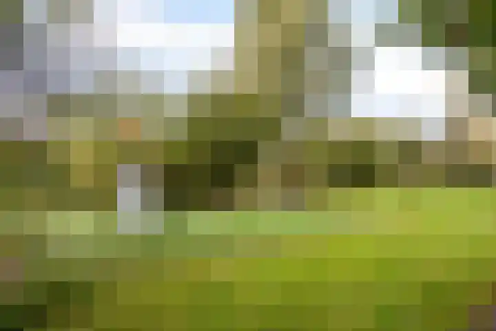 Groenhoven 433 Amsterdam thumbnail 37