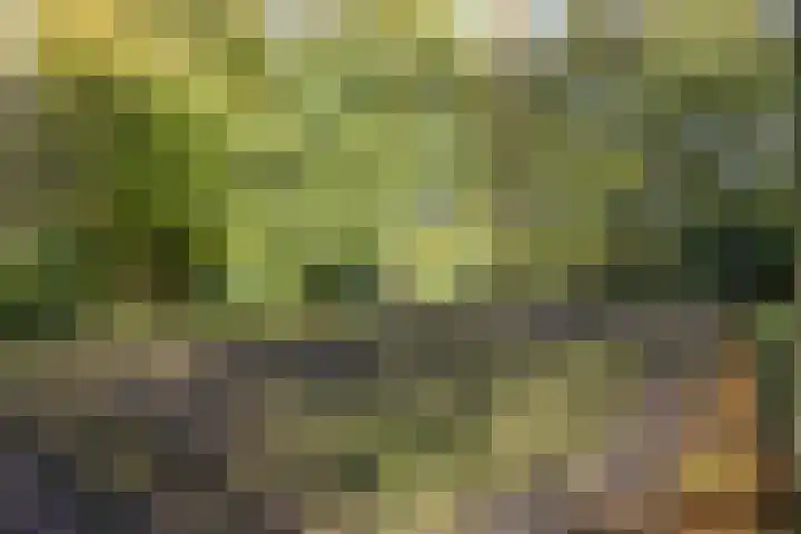 Groenhoven 433 Amsterdam thumbnail 38