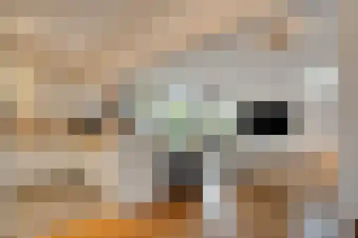 Groenhoven 433 Amsterdam thumbnail 5