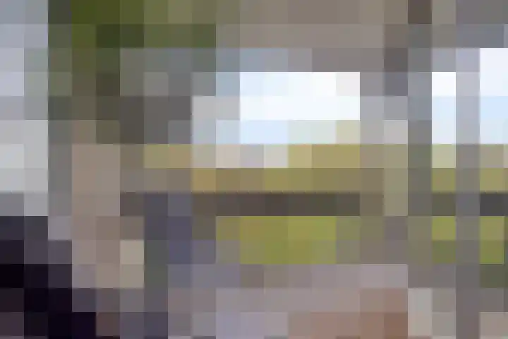 Groenhoven 433 Amsterdam thumbnail 8