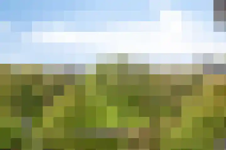 Groenhoven 433 Amsterdam thumbnail 9
