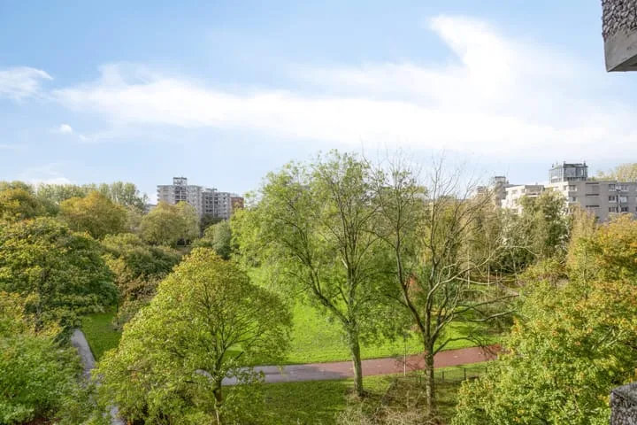 Groenhoven 433 Amsterdam thumbnail 9