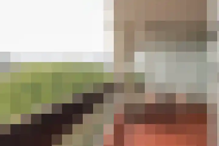 Groenhoven 438 Amsterdam thumbnail 15
