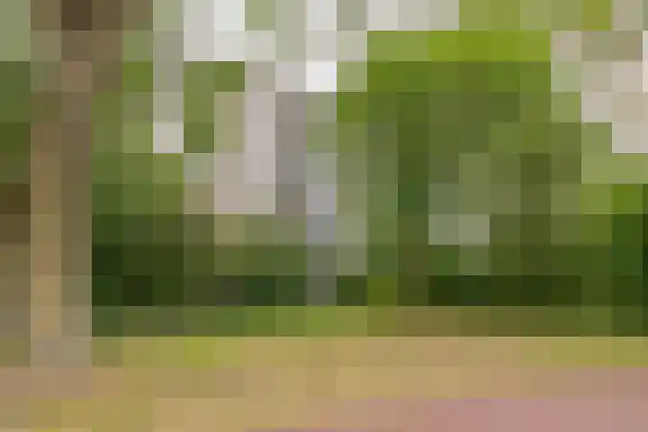 Groenhoven 438 Amsterdam thumbnail 16