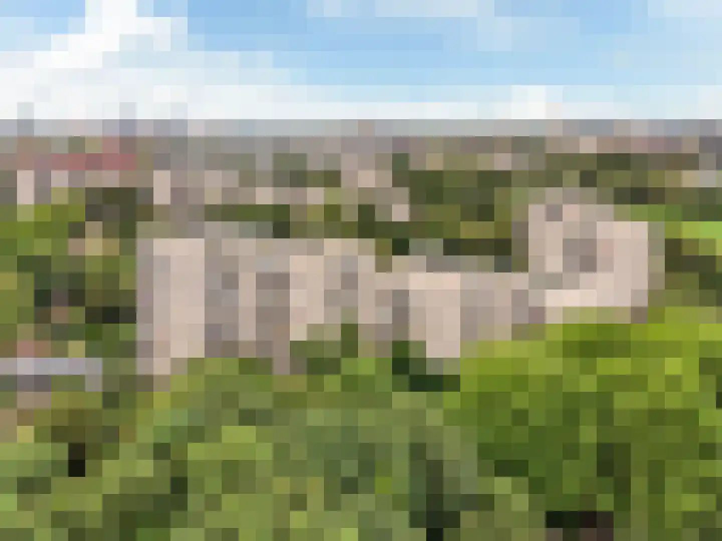 Groenhoven 447 Amsterdam thumbnail 30