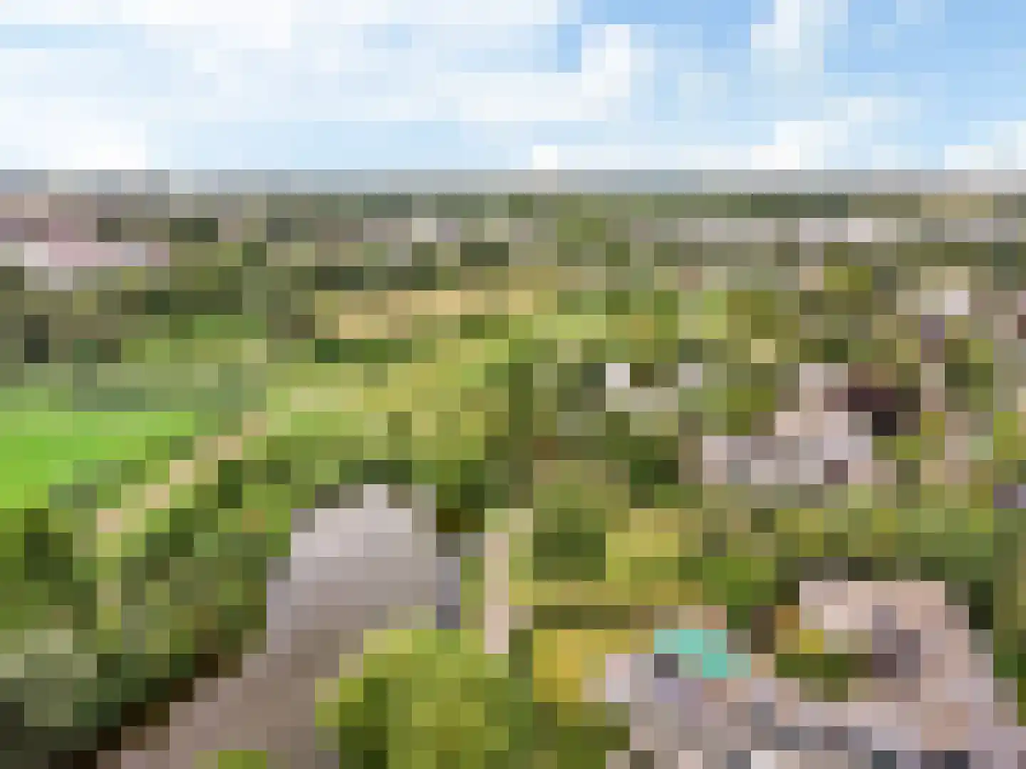 Groenhoven 447 Amsterdam thumbnail 31