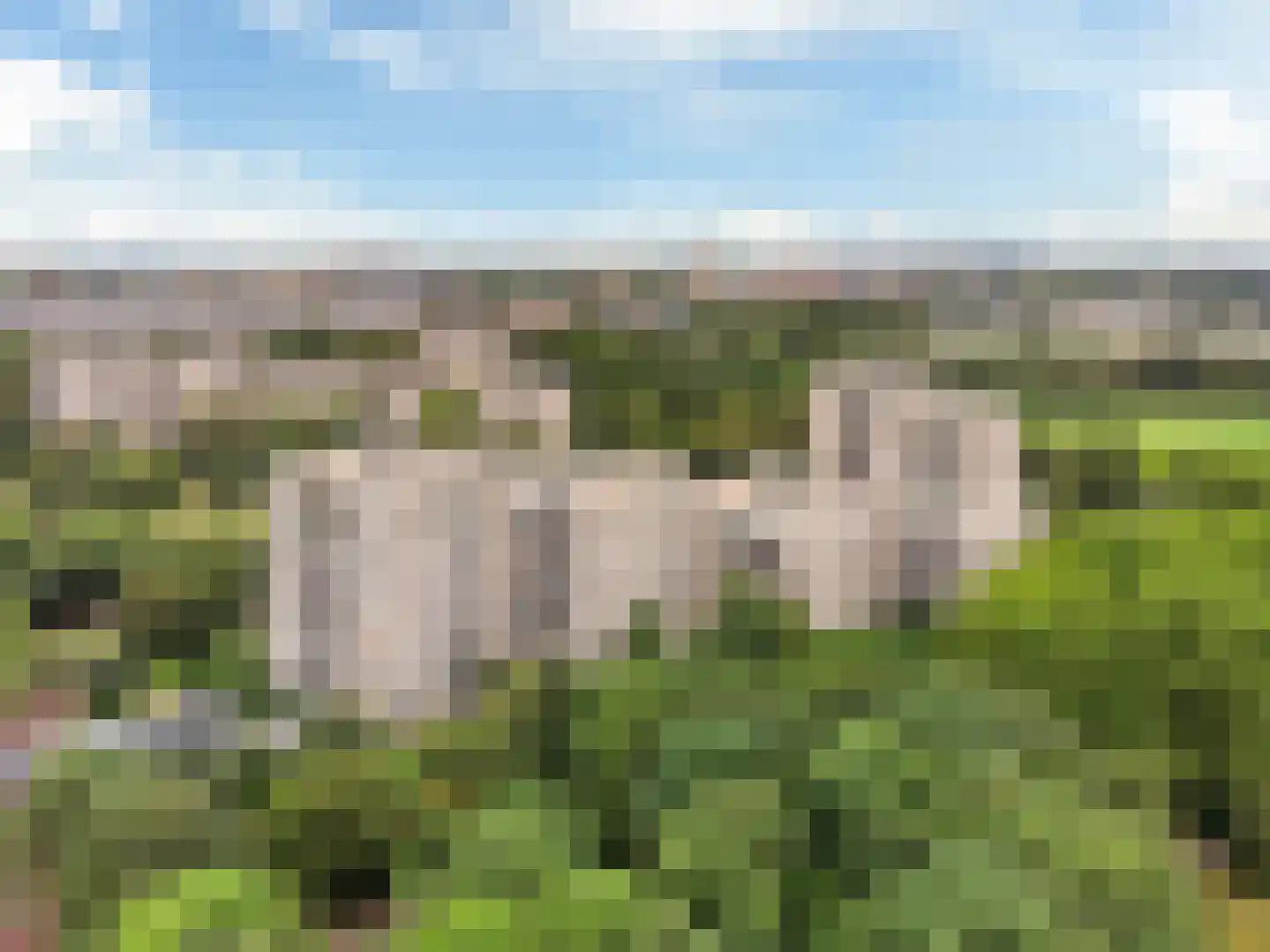 Groenhoven 447 Amsterdam thumbnail 33