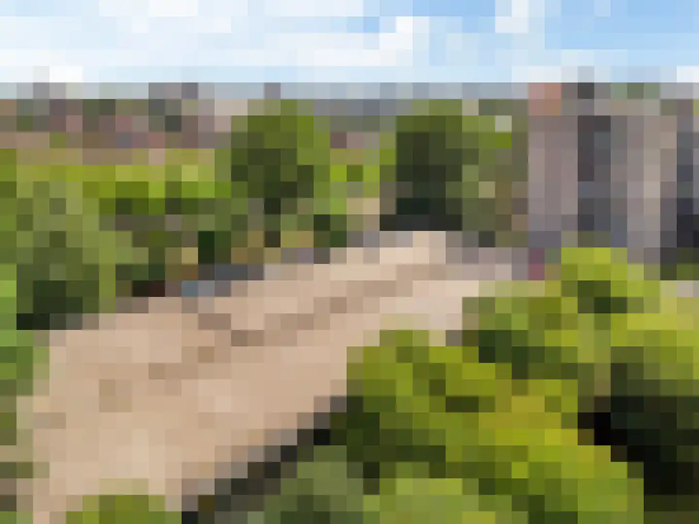 Groenhoven 447 Amsterdam thumbnail 35