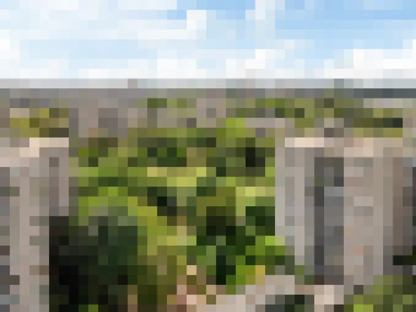 Groenhoven 447 Amsterdam thumbnail 37
