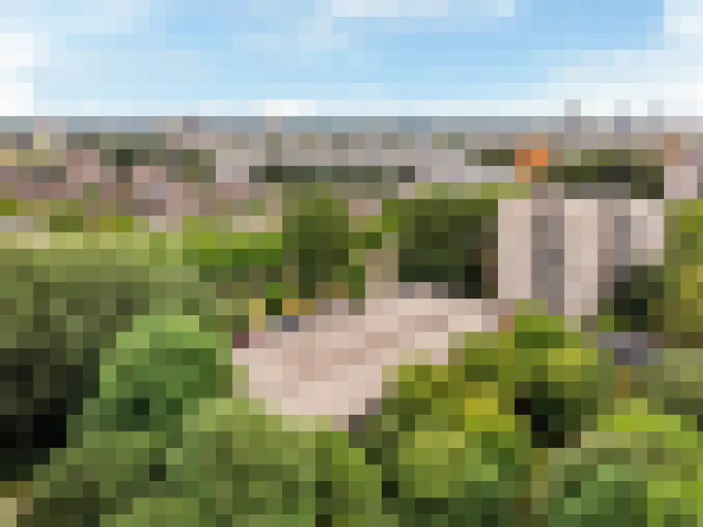 Groenhoven 447 Amsterdam thumbnail 38