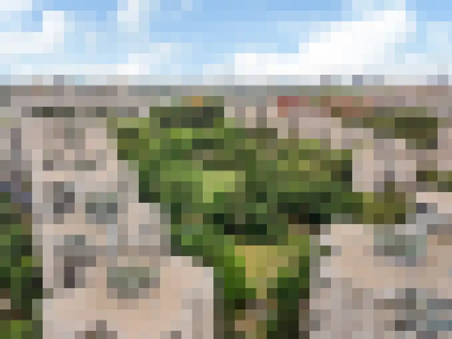 Groenhoven 447 Amsterdam thumbnail 39