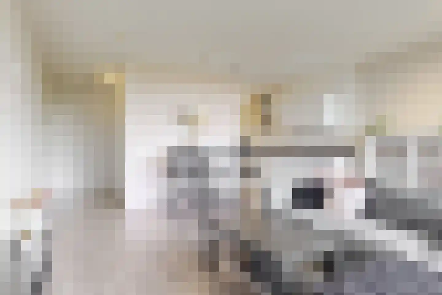 Groenhoven 447 Amsterdam thumbnail 4