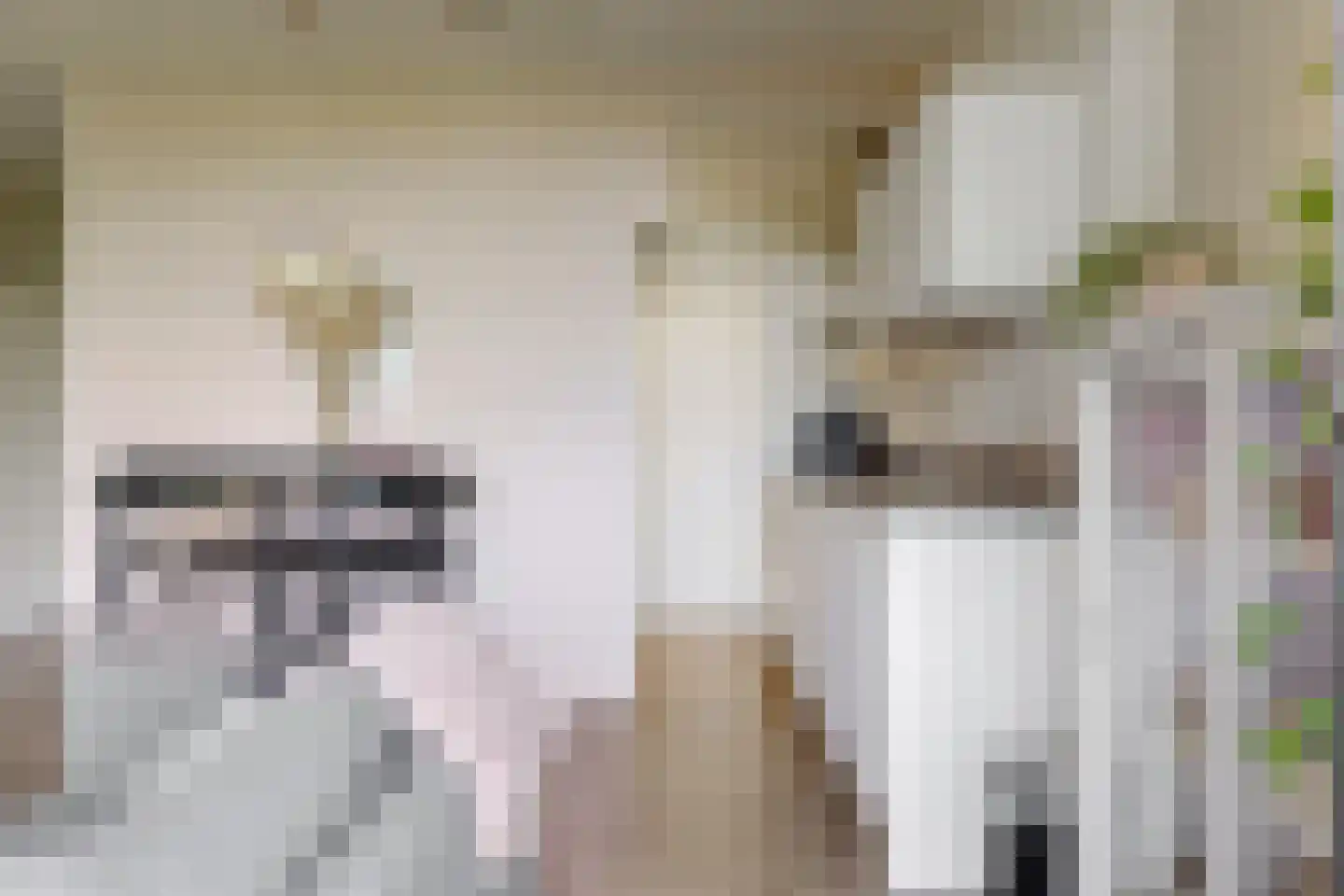 Groenhoven 447 Amsterdam thumbnail 8
