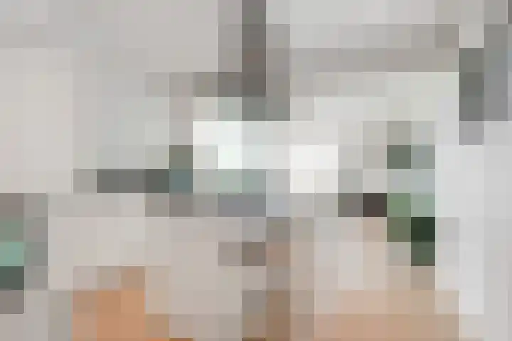 Groenhoven 449 Amsterdam thumbnail 11
