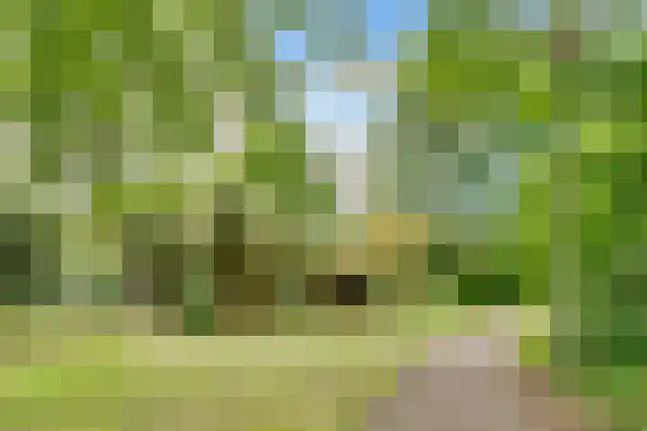 Groenhoven 449 Amsterdam thumbnail 22