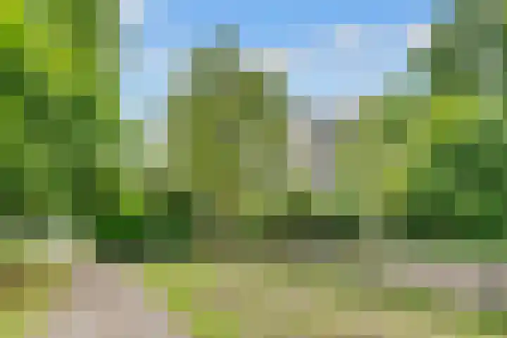 Groenhoven 449 Amsterdam thumbnail 23