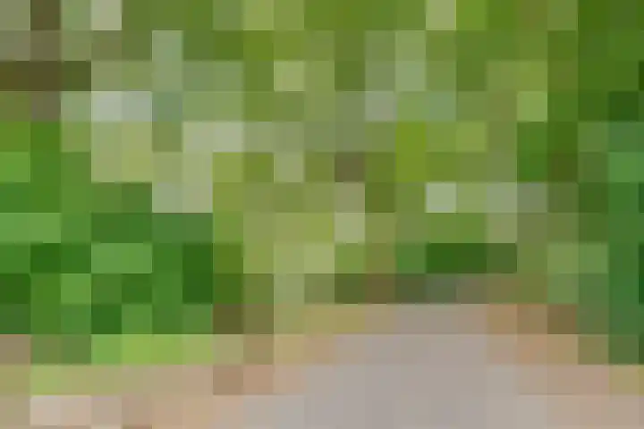 Groenhoven 449 Amsterdam thumbnail 29
