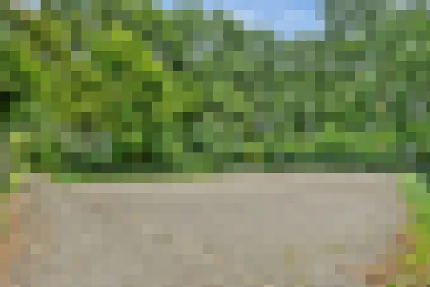 Groenhoven 450 Amsterdam thumbnail 15