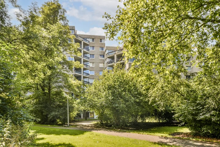 Groenhoven 513 in Amsterdam Foto