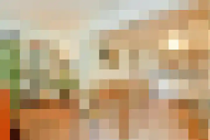 Groenhoven 513 Amsterdam thumbnail 10