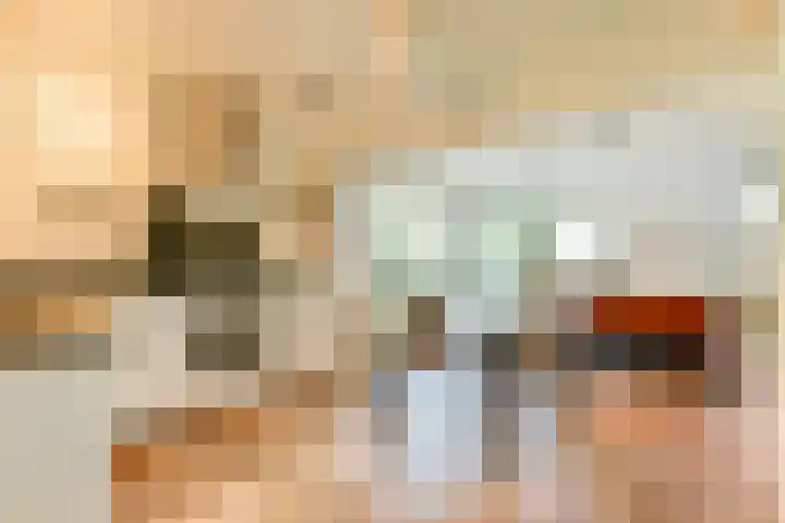 Groenhoven 513 Amsterdam thumbnail 13