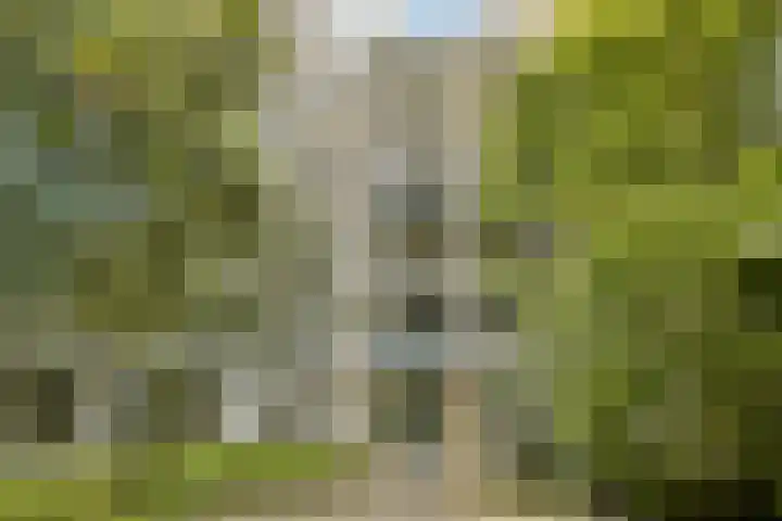 Groenhoven 513 Amsterdam thumbnail 16