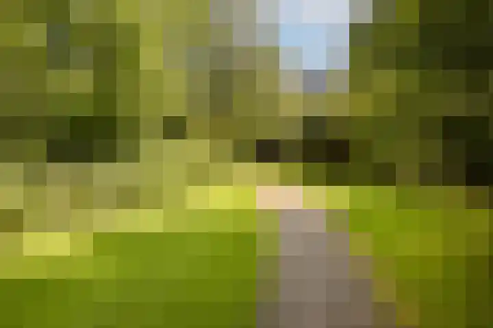 Groenhoven 513 Amsterdam thumbnail 17