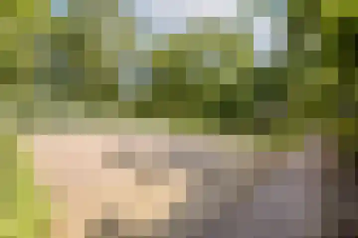 Groenhoven 513 Amsterdam thumbnail 18