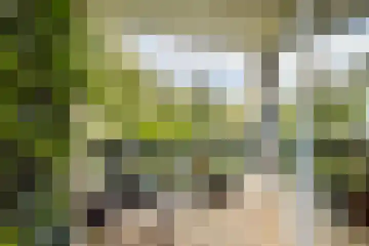 Groenhoven 513 Amsterdam thumbnail 4
