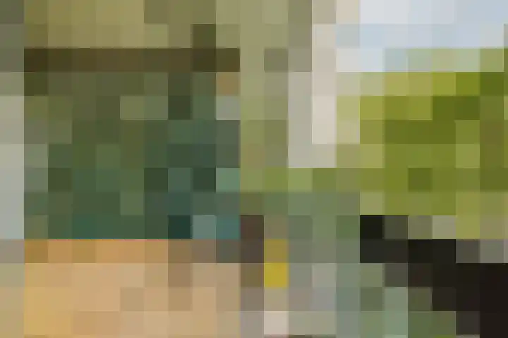 Groenhoven 513 Amsterdam thumbnail 6