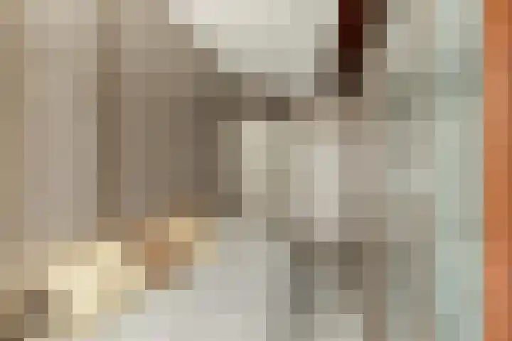 Groenhoven 515 Amsterdam thumbnail 11