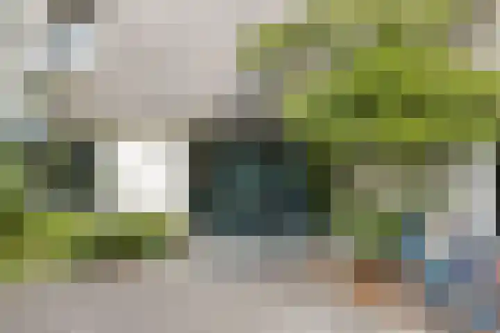 Groenhoven 515 Amsterdam thumbnail 19