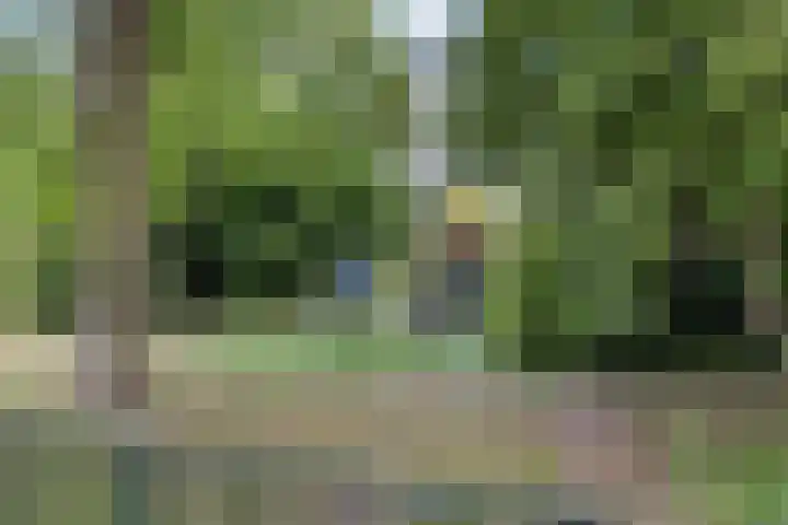 Groenhoven 515 Amsterdam thumbnail 20