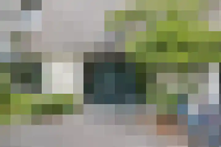 Groenhoven 515 Amsterdam thumbnail 21