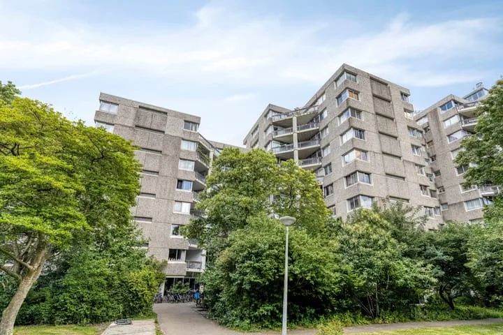 Groenhoven 515 Amsterdam thumbnail 22