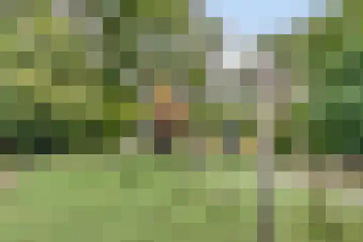 Groenhoven 515 Amsterdam thumbnail 24