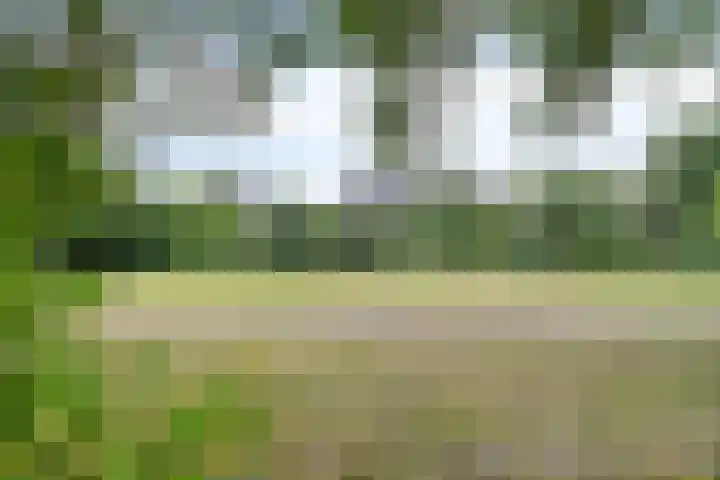 Groenhoven 515 Amsterdam thumbnail 25