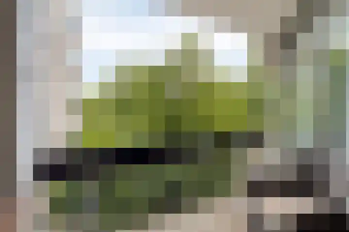 Groenhoven 515 Amsterdam thumbnail 5