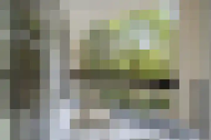 Groenhoven 515 Amsterdam thumbnail 8