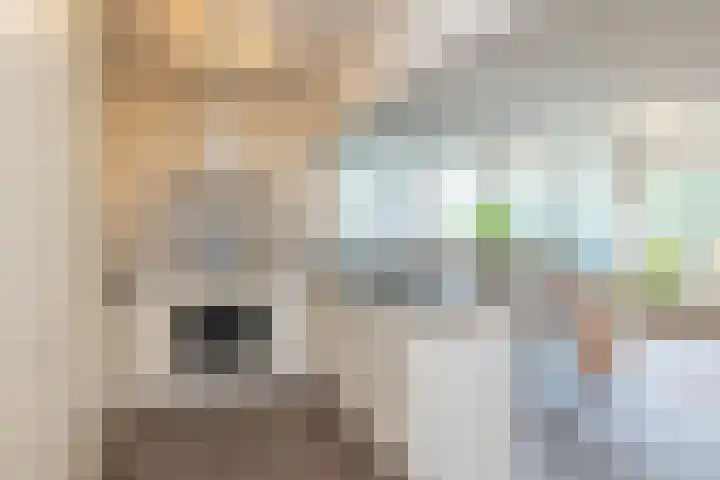 Groenhoven 524 Amsterdam thumbnail 12