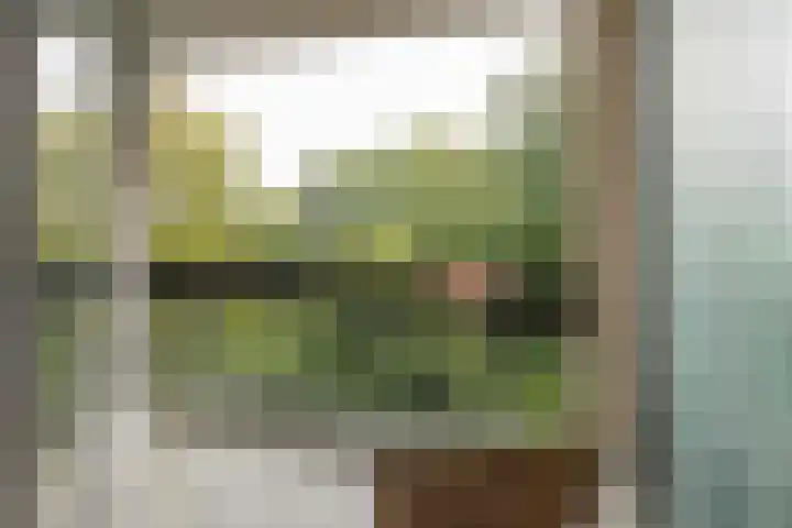 Groenhoven 524 Amsterdam thumbnail 22