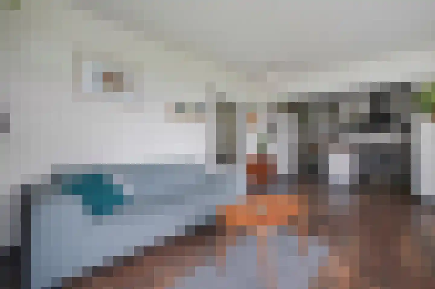 Groenhoven 534 Amsterdam thumbnail 10