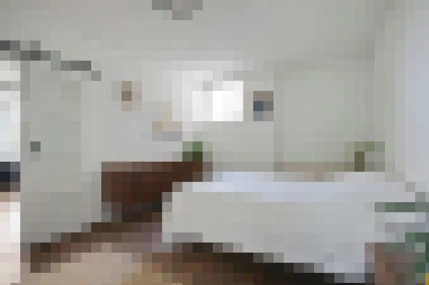 Groenhoven 534 Amsterdam thumbnail 23