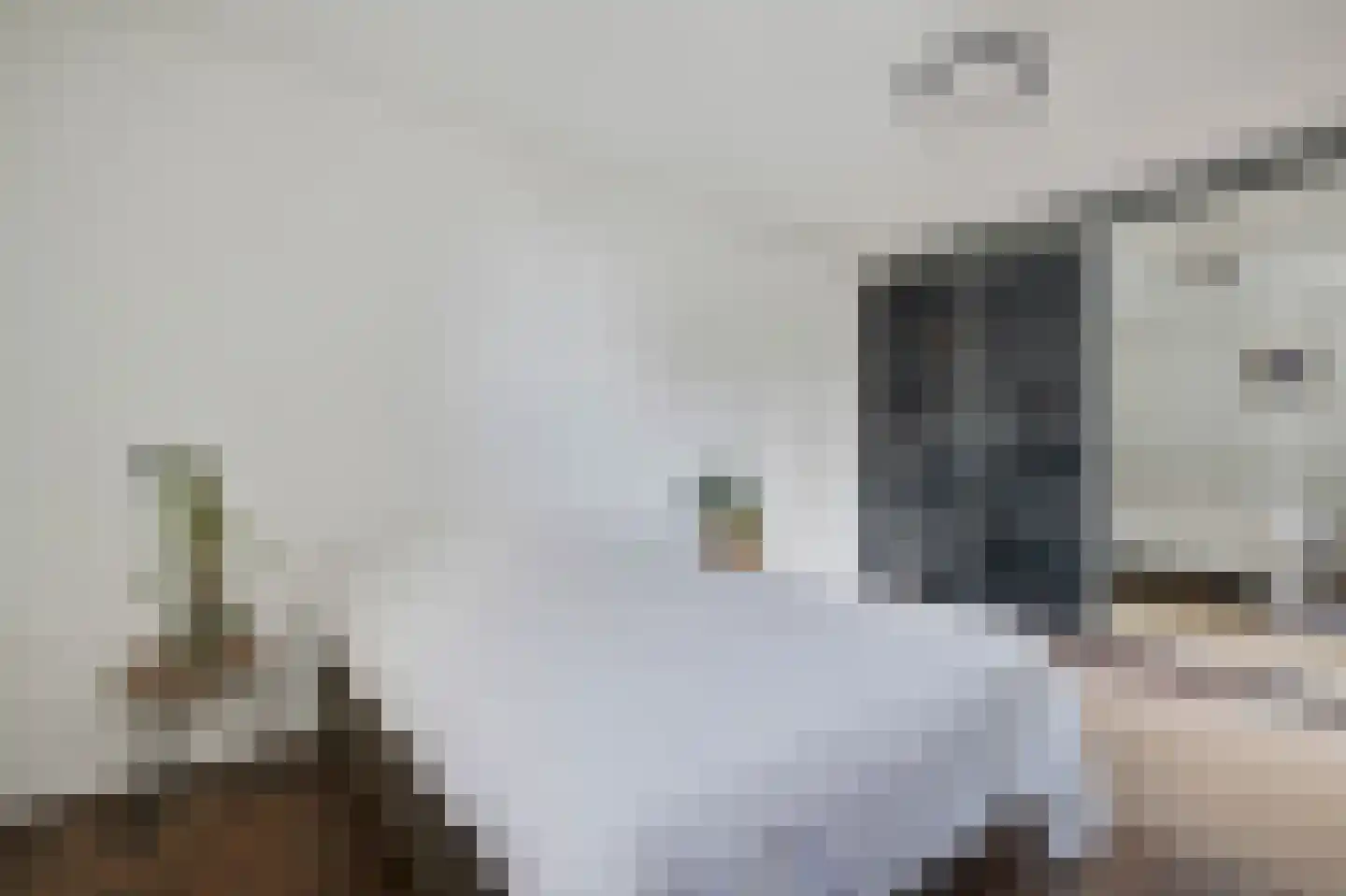 Groenhoven 534 Amsterdam thumbnail 25