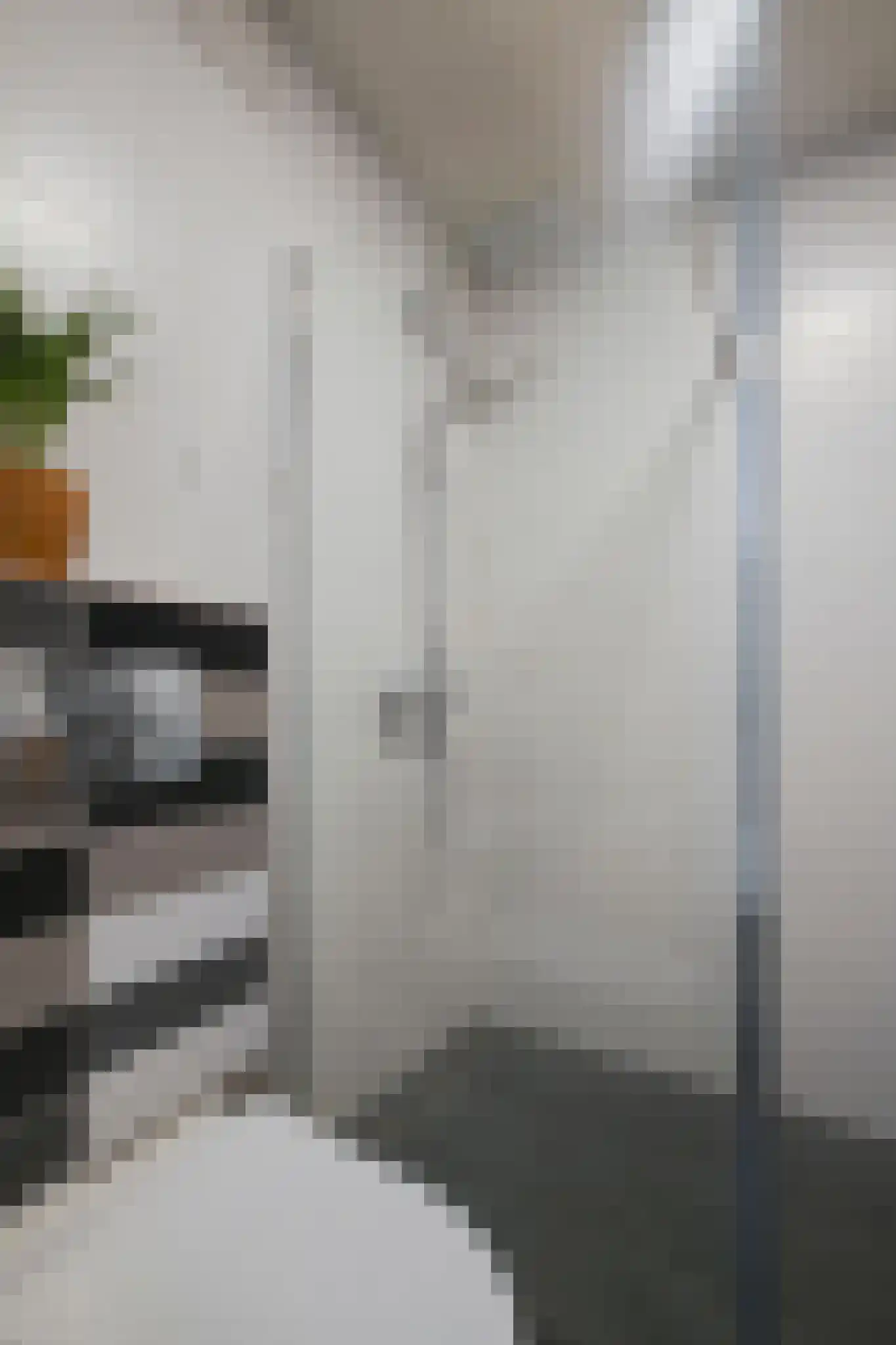 Groenhoven 534 Amsterdam thumbnail 29