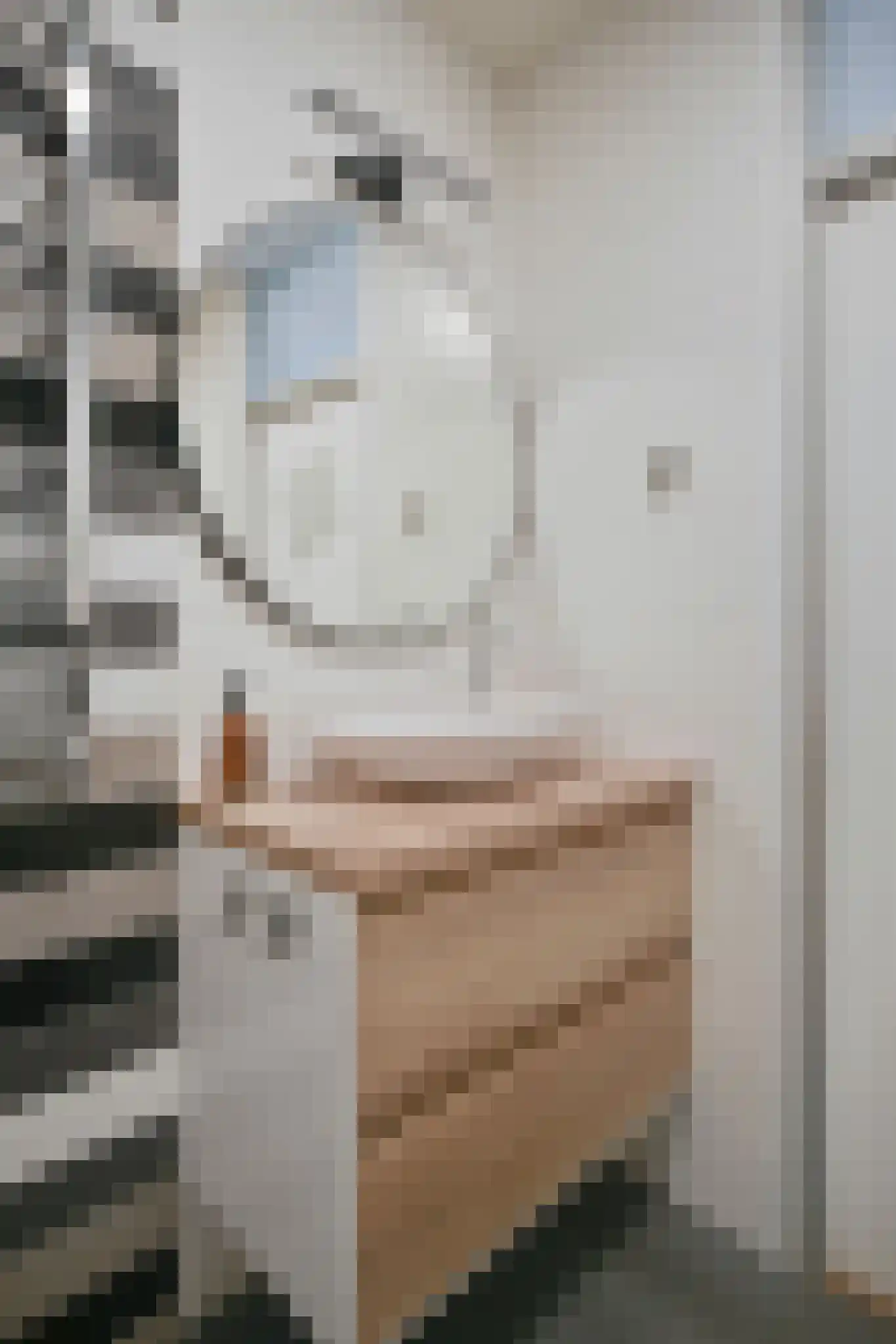 Groenhoven 534 Amsterdam thumbnail 30