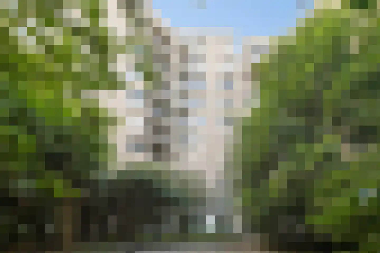 Groenhoven 534 Amsterdam thumbnail 4
